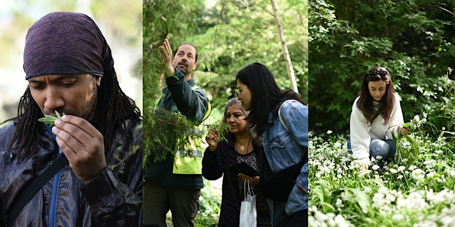 Foraging: Wild Food Walk in Tower Hamlets Cemetery Park, London
