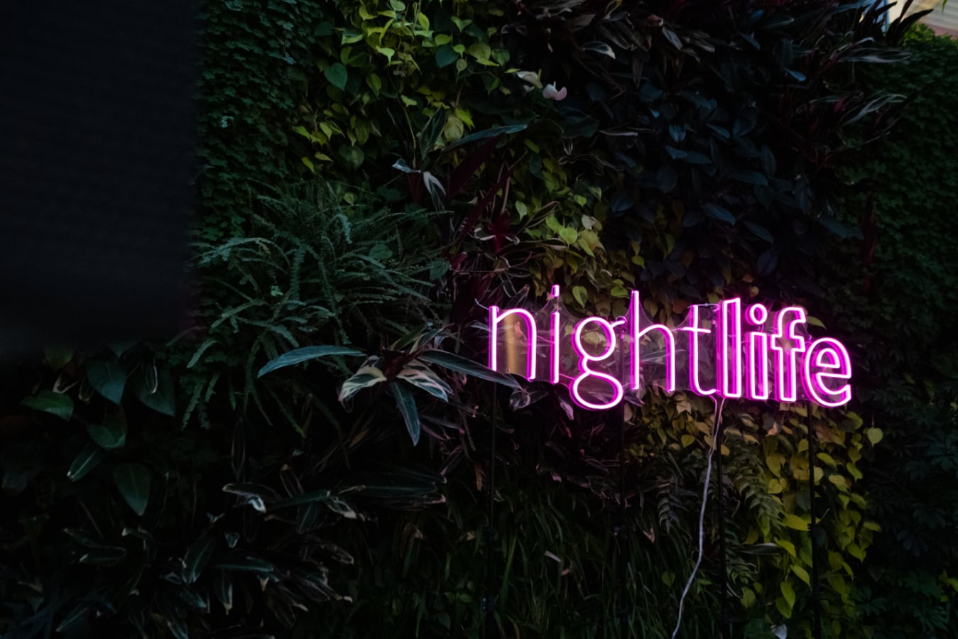 NightLife at the California Academy of Sciences, San Francisco