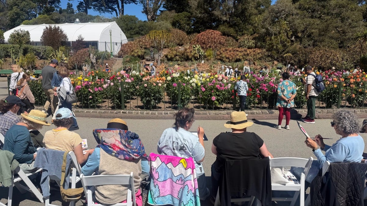 Painters Unite: free outdoor painting at the Palace of Fine Arts, San Francisco