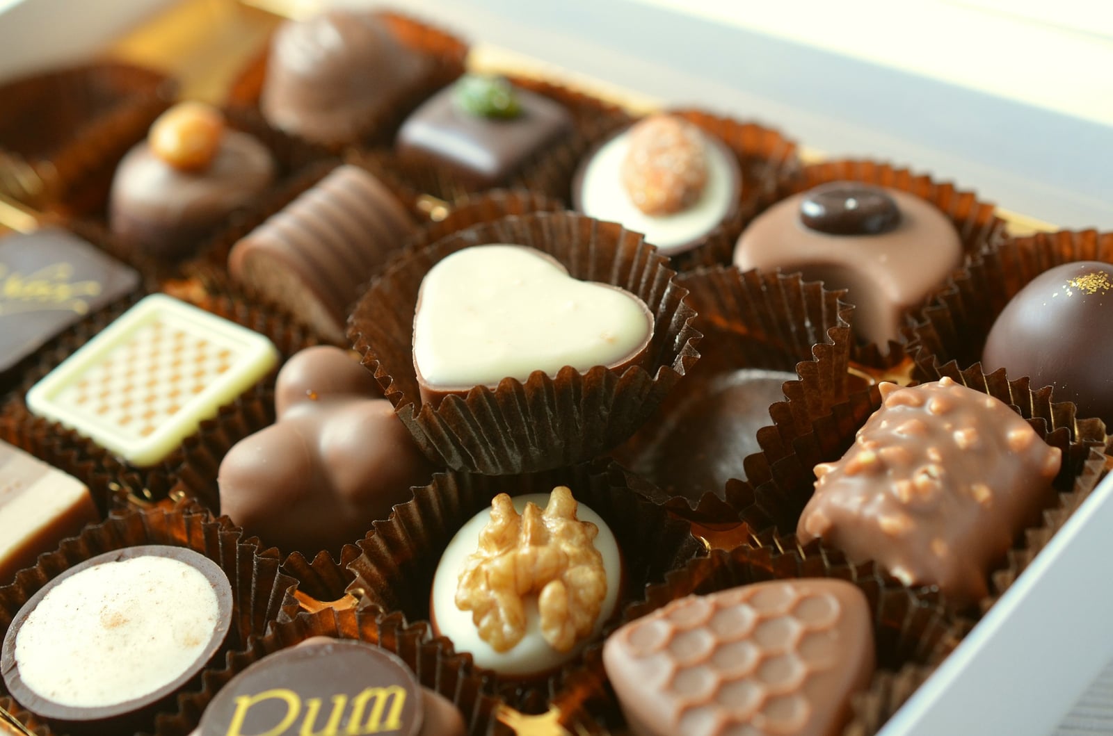 San Francisco Fall Holiday Chocolate Salon, San Francisco