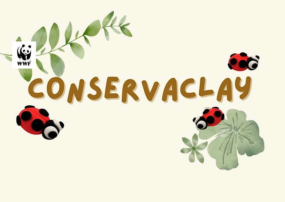 ConservaClay workshop (WWF), Singapore