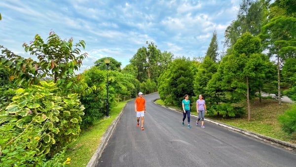 Southern Ridges walk (westbound) and social dinner, Singapore