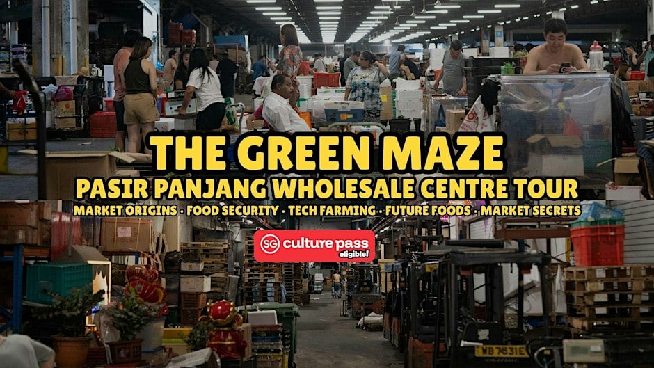The Green Maze: Pasir Panjang Wholesale Centre night tour, Singapore