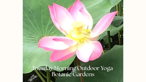Tuesday morning outdoor yoga for beginners, Singapore